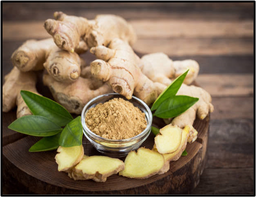 Polyherbal powder for anti-GERD activity: a formulation-based approach